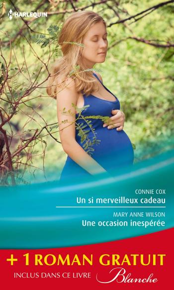 Un si merveilleux cadeau / Une occasion inespérée + 1 roman Gratuit