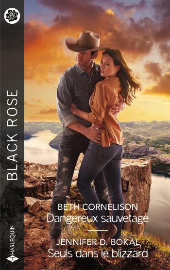 Dangereux sauvetage / Seuls dans le blizzard